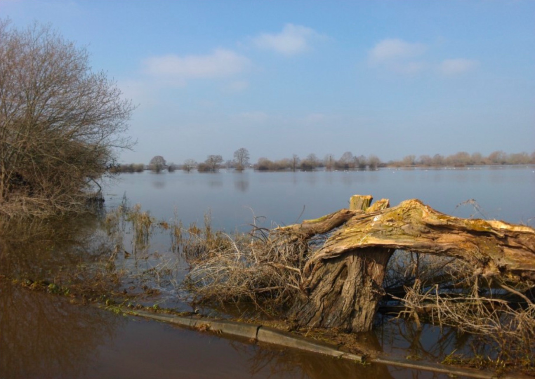 Somerset Levels 2